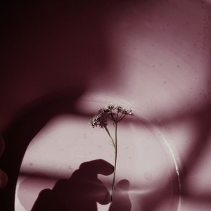 漂泊的妈妈 (Live)