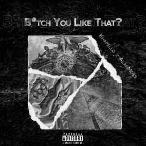 B*tch You Like That?(feat. Alan Moss) (Explicit)
