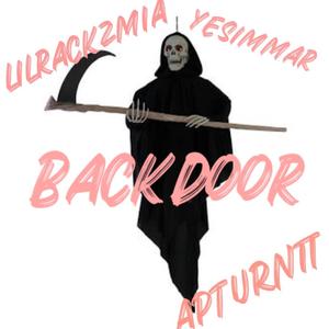 Backdoor (feat. lilrackzmia & yesimmar__)