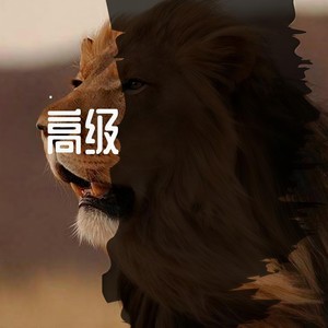 高级