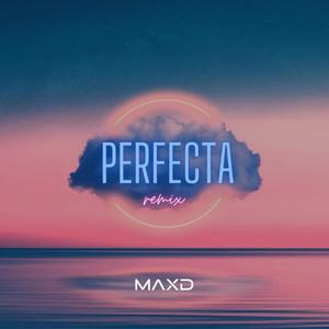 Perfecta (Remix|Explicit)
