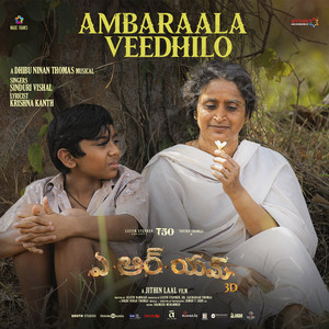 Ambaraala Veedhilo (From "ARM")