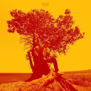 Midnight Oil (feat. Pitchboi & Euphorik) (Explicit)
