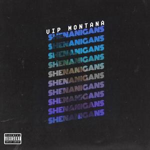 Shenanigans (Explicit)