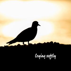 Neoed Your Love So Bad