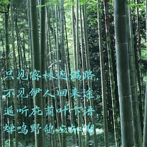 理想三旬 (Live)封面