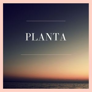 Planta