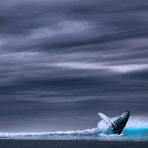 Calming Rains Meditation