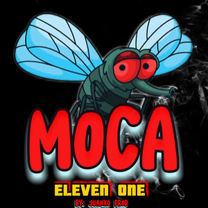 Moca