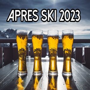 Aloha Heja He 2013 (Radio Mix)
