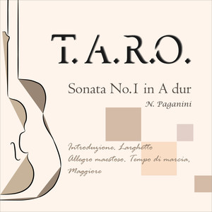 Sonata for Violin and Guitar in A major, Op. 64, No. 1: I. Introduzione. Larghetto II. Allegro