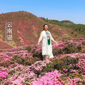 云南谣