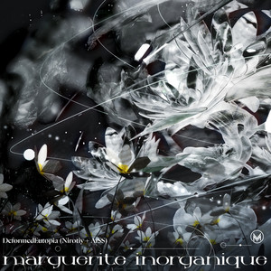 marguerite inorganique