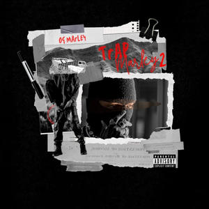 Project Pat Flow (Explicit)