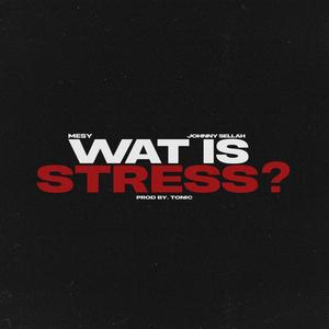 Wat Is Stress (Explicit)