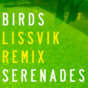 Birds (Lissvik Remix)