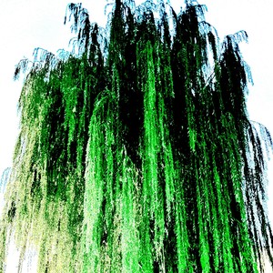 zabójstwo (Explicit)