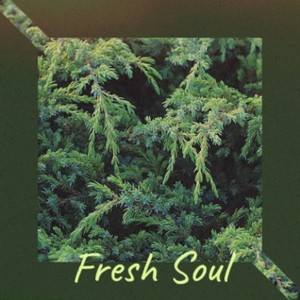 Fresh Soul