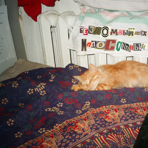 Ginger Is ****ing Awesome Guy (Explicit)