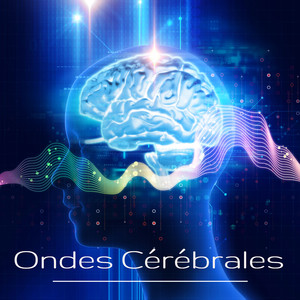 Ondes Cérébrales: Musique d'ambiance sur le rythme cérébral avec ondes alpha, theta et delta