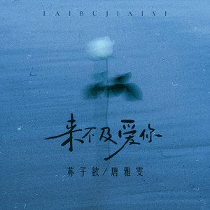 来不及爱你 (伴奏)