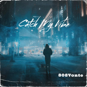 Catch My Vibe (Explicit)