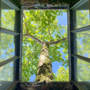 汤圆圆圆 - 如果当时