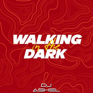 Walking In The Dark (Dj Ashel Remix)