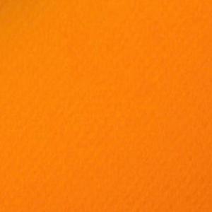 Can't Let You Go (Explicit)