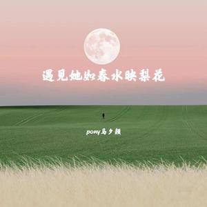 遇见她如春水映梨花