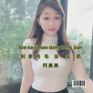 别拿鸡毛当令箭   会东调