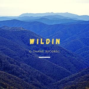 Wildin' (feat. Connor-Mctodd) [Explicit]