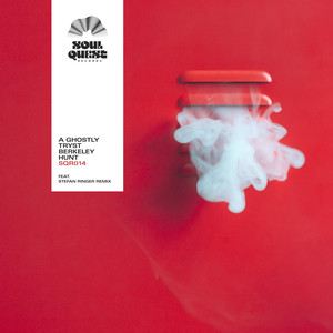 Wicked Sins (Stefan Ringer Remix)