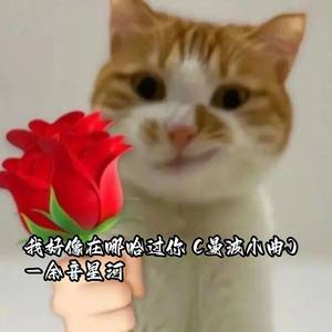 我好像在哪哈过你 (曼波小曲)