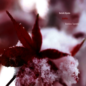 Snowflakes (雪花)