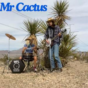 Mr Cactus