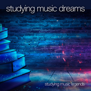 Studying Music Dreams