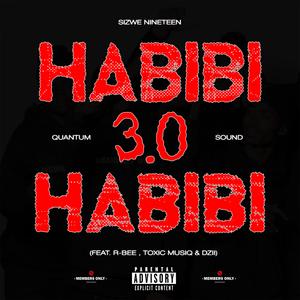 Habibi 3.0 (Quantum Sound) (feat. R-Bee, Toxic MusiQ & Dzii)