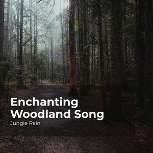 Enchanting Woodland Song