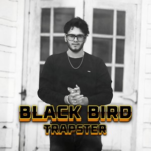 Black Bird