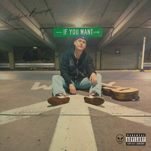 If You Want (Explicit)