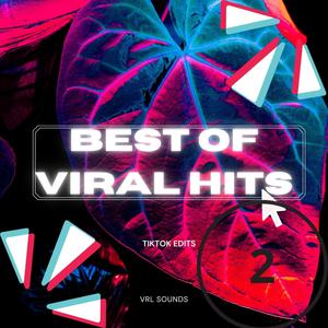 Best Of Viral Hits 2 (TikTok Edit)-VRL SOUNDS
