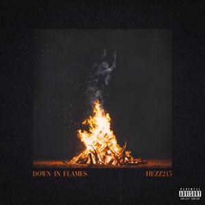 Down in Flames (Explicit)