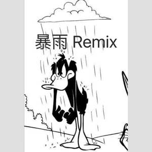 暴雨Remix