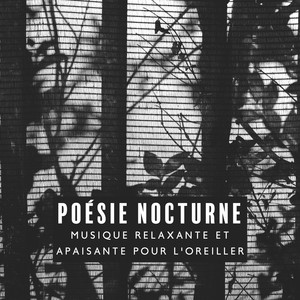 Poésie nocturne: Musique relaxante et apaisante pour l'oreiller