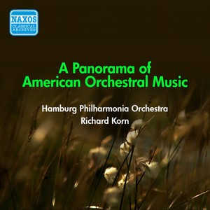 Second Essay, Op. 17