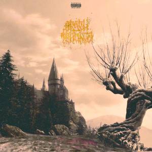 Орден Феникса