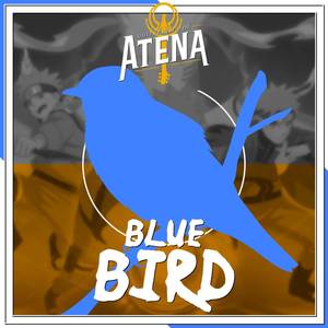 Guitarrista de Atena - Blue Bird