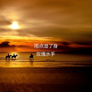 雨点湿了身
