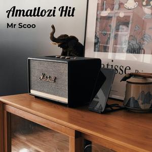 Amatlozi Hit